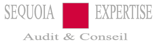  Expert-comptable à Saint-Maur-des-Fossés